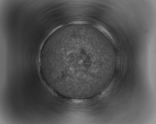 X0000089690852200707121335