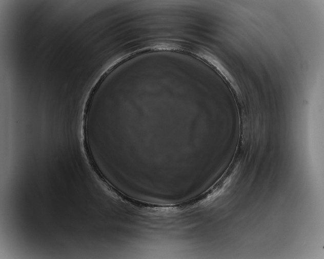 X0000089690853200707121335