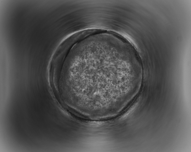 X0000089690854200707121335