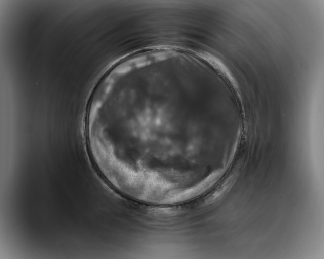 X0000089690855200707121335