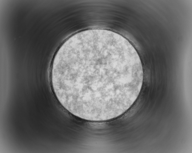 X0000089690856200707121335