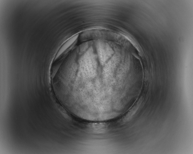 X0000089690858200707121335