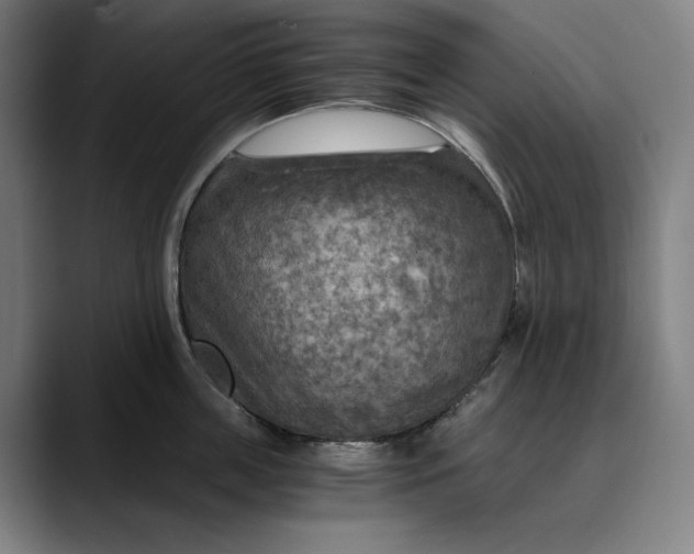 X0000089690859200707121335