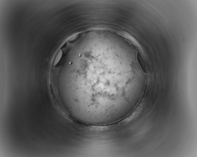 X0000089690860200707121335