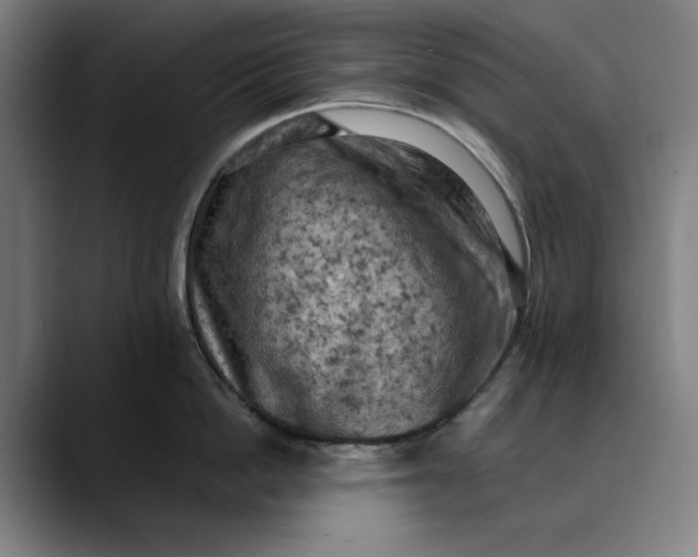 X0000089690862200707121335