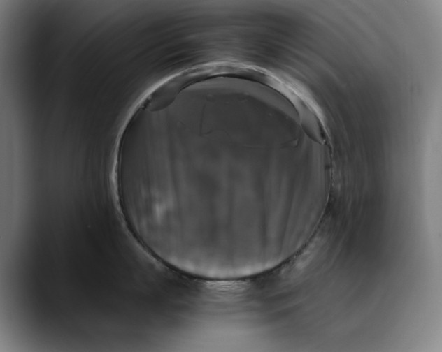 X0000089690863200707121335