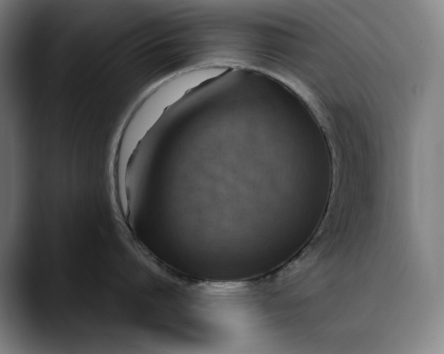 X0000089690864200707121335