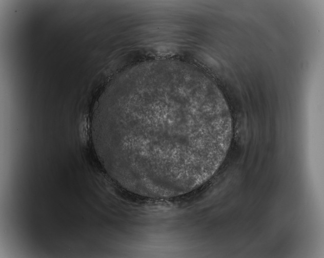 X0000089690866200707121334