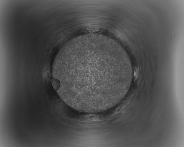 X0000089690867200707121334