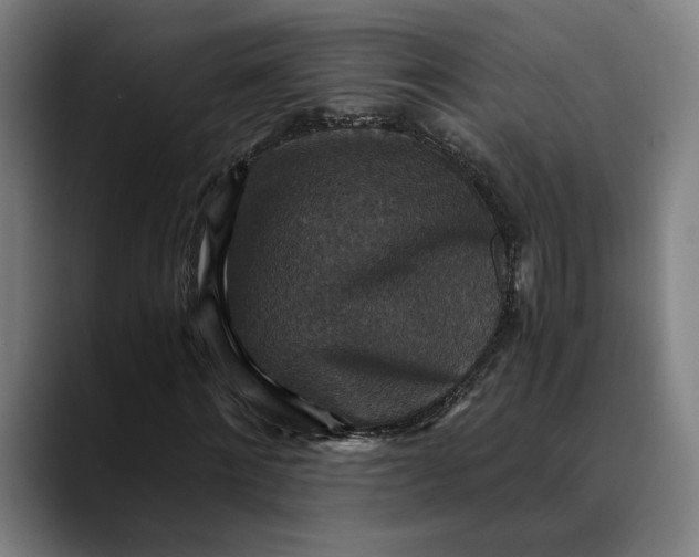 X0000089690868200707121334