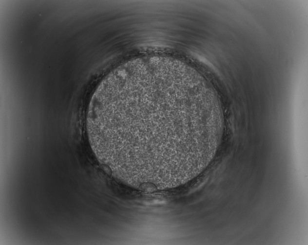 X0000089690870200707121334