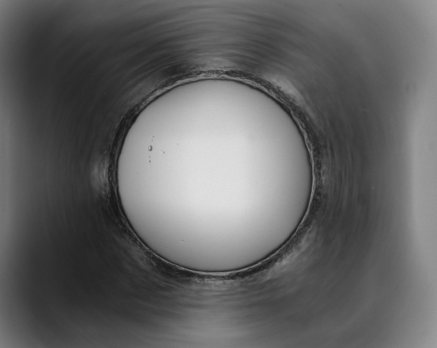 X0000089690873200707121334