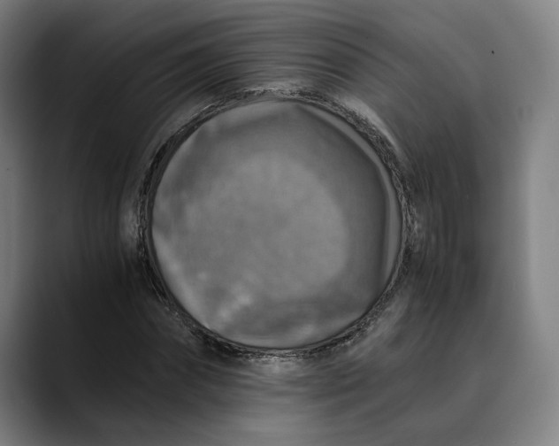 X0000089690874200707121334