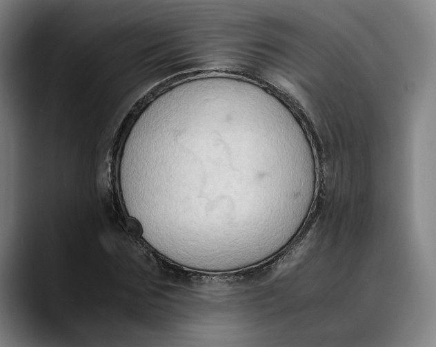 X0000089690875200707121334