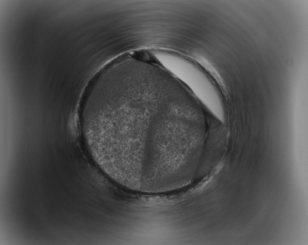 X0000089690876200707121334