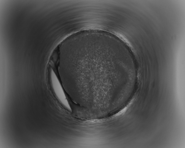 X0000089690877200707121334