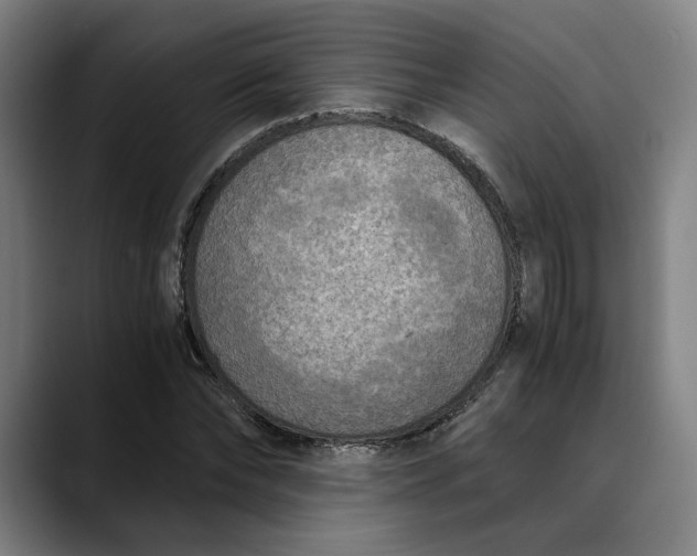 X0000089690878200707121334