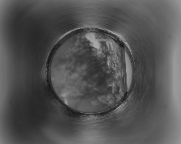 X0000089690879200707121334