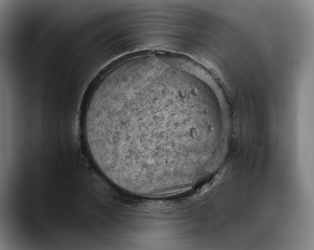 X0000089690880200707121334