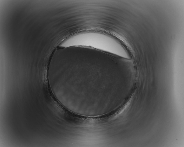 X0000089690881200707121334