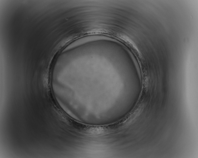 X0000089690882200707121334