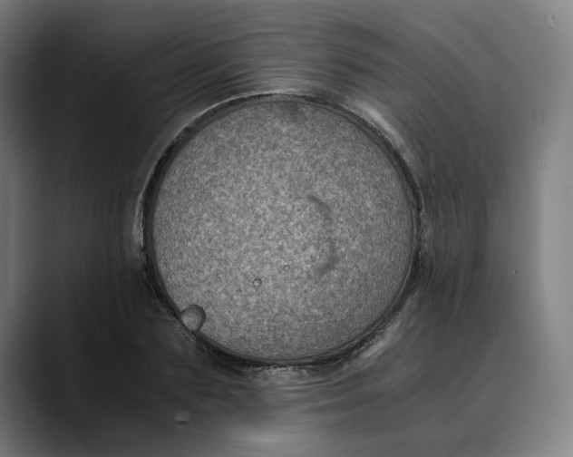 X0000089690883200707121334