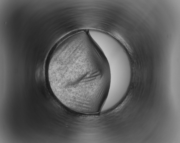 X0000089690884200707121334