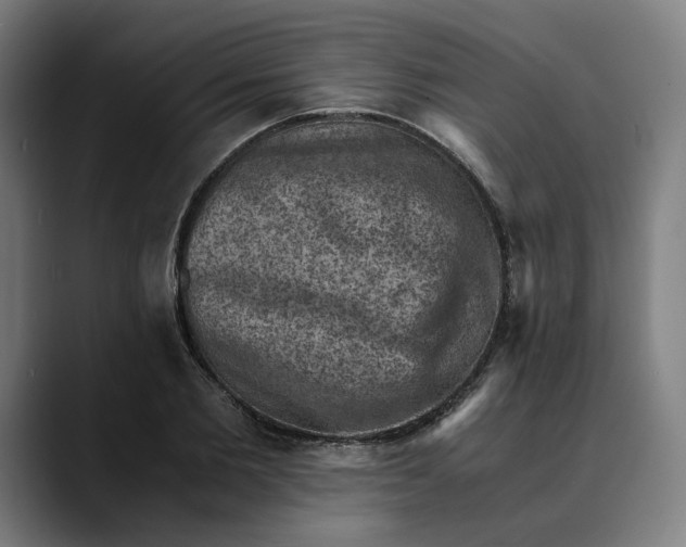 X0000089690885200707121334