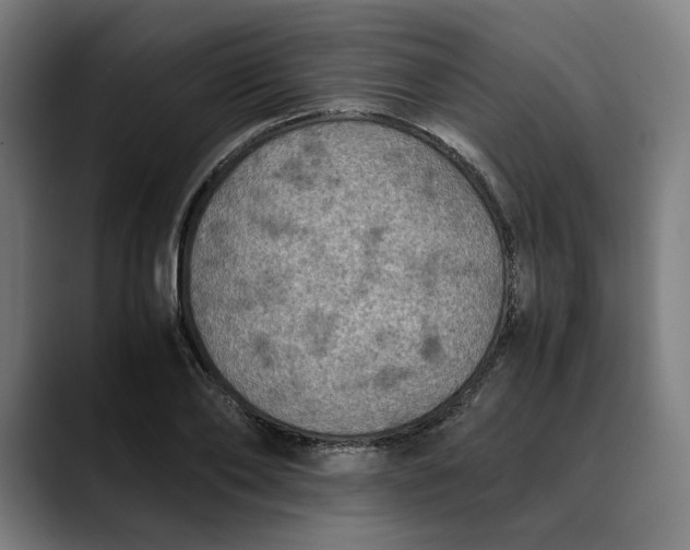 X0000089690886200707121334