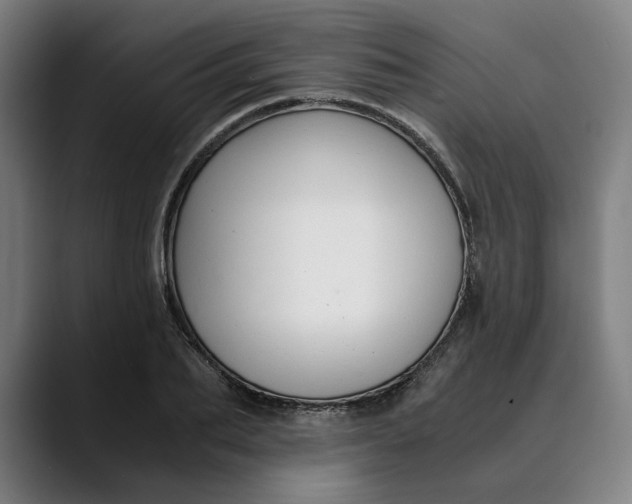 X0000089690887200707121334