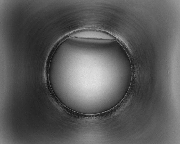 X0000089690888200707121334