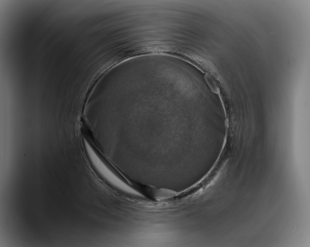 X0000089690889200707121334