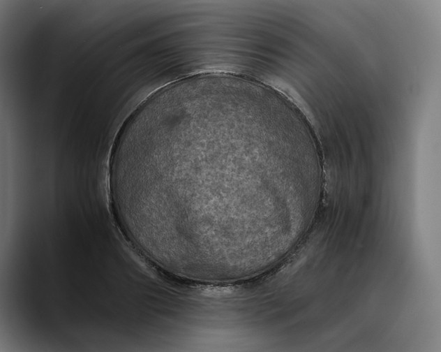 X0000089690890200707121334