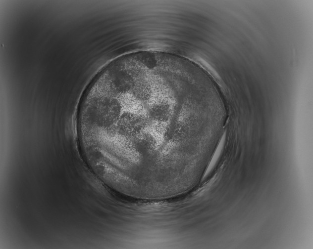 X0000089690891200707121334