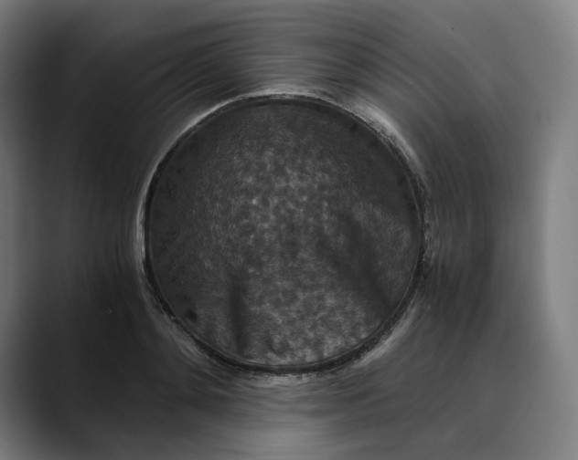 X0000089690892200707121334