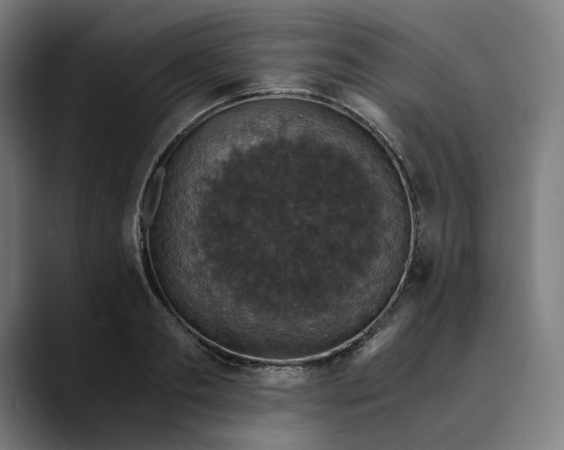 X0000089690893200707121334