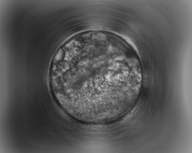 X0000089690895200707121334