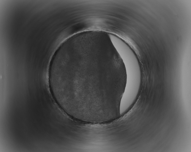 X0000089690896200707121334