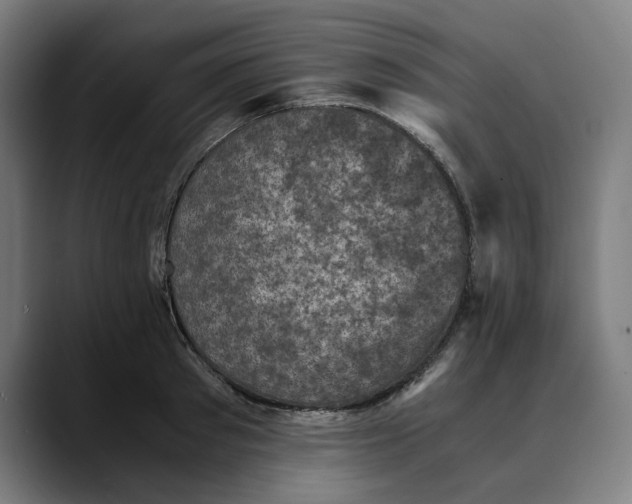 X0000089690897200707121334