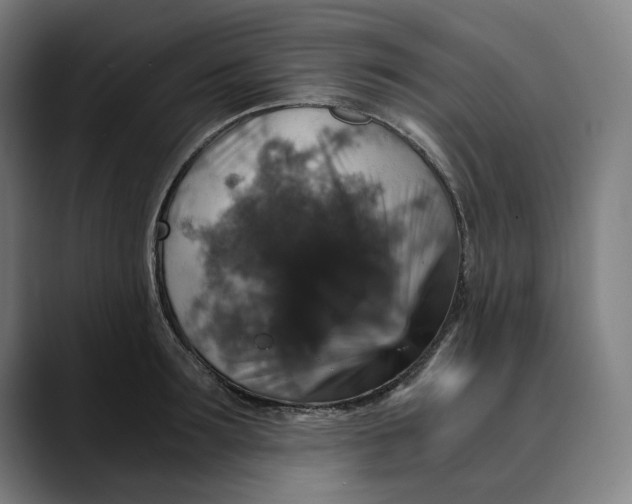 X0000089690899200707121334