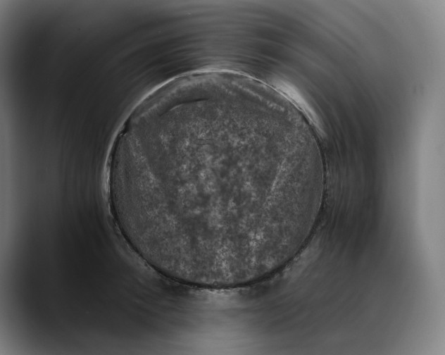 X0000089690900200707121334