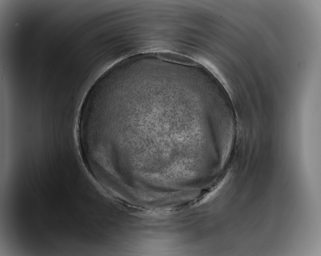 X0000089690901200707121334