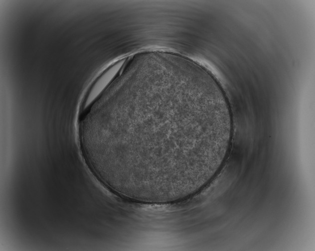 X0000089690902200707121334