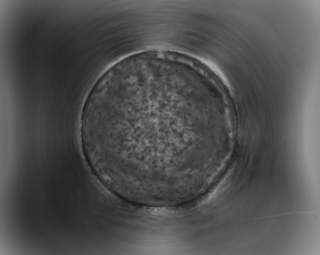 X0000089690903200707121334