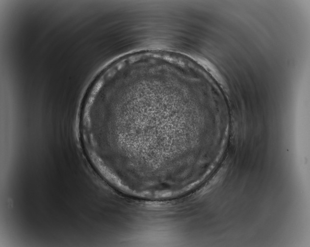 X0000089690904200707121334