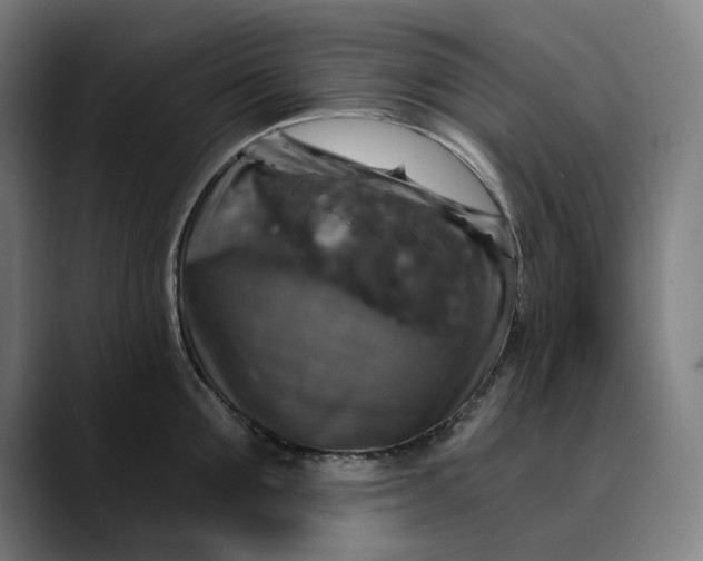 X0000089690907200707121334