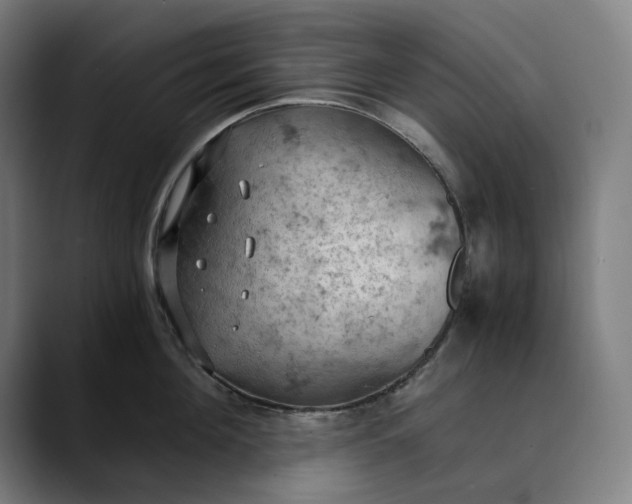 X0000089690908200707121334