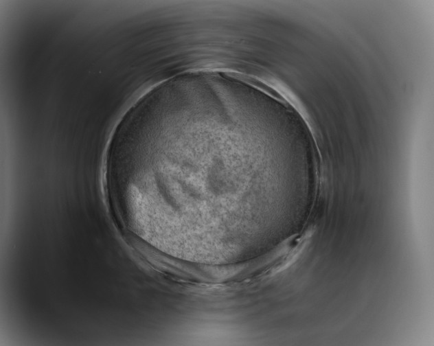 X0000089690909200707121334