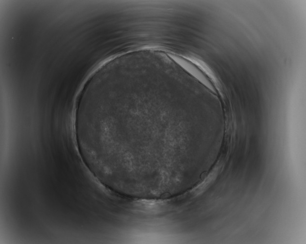 X0000089690910200707121334