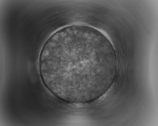 X0000089690911200707121334